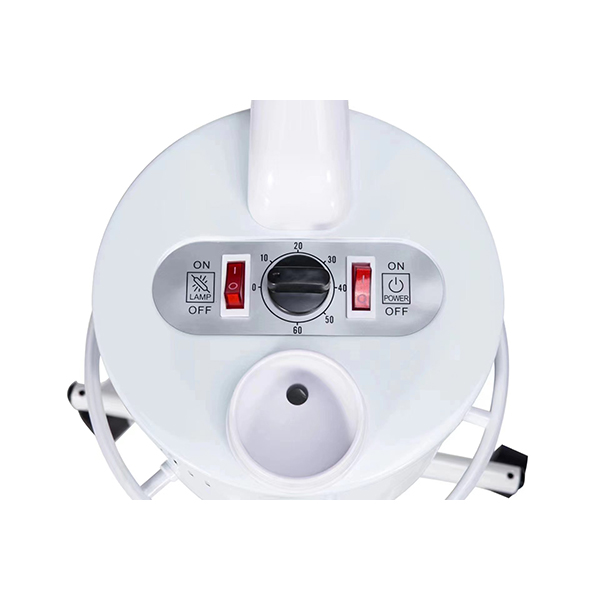 hot facial steamer with timer