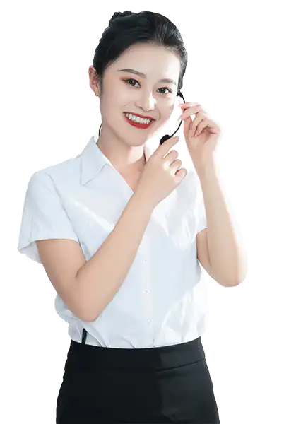 BSL NDT Service Person