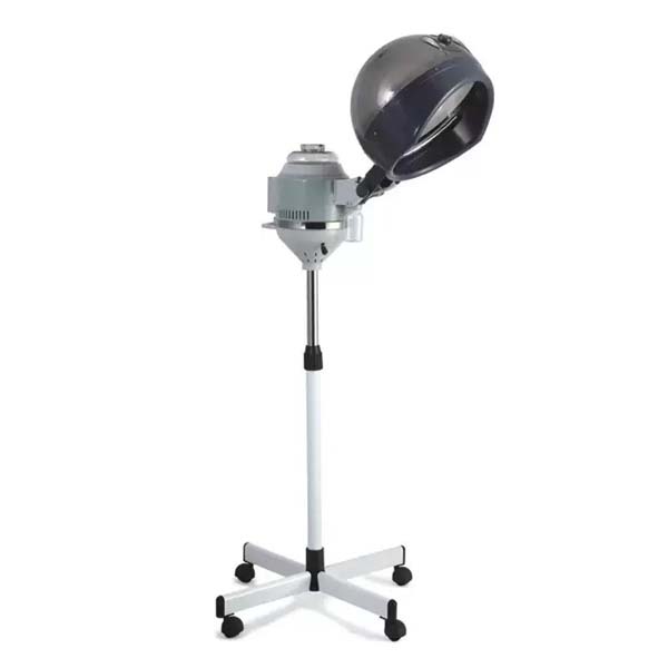 Combined hair and face steamer