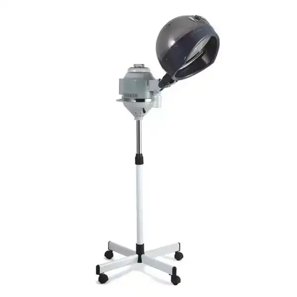 Combined hair and face steamer