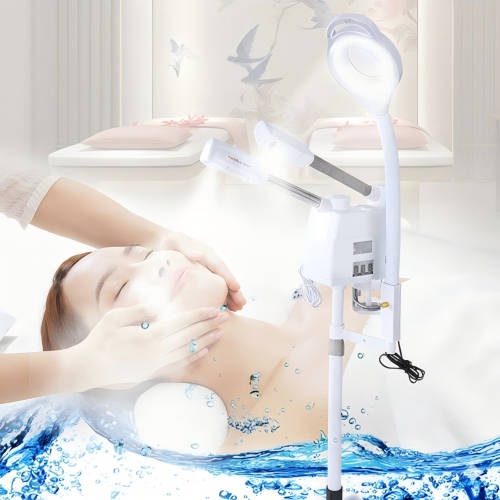 facial steamer.