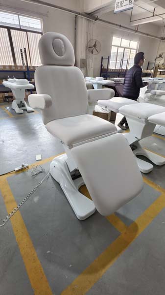 Electric Beauty Bed